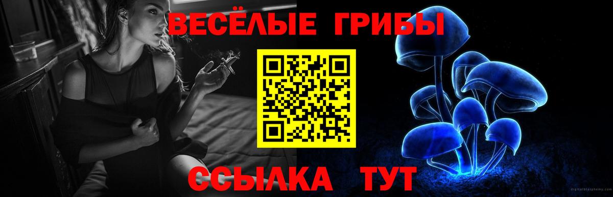Горно-Алтайск  Псилоцибиновые грибы Cubensis  Вход с VPN  Галлюциногенные грибы прущие грибы 
